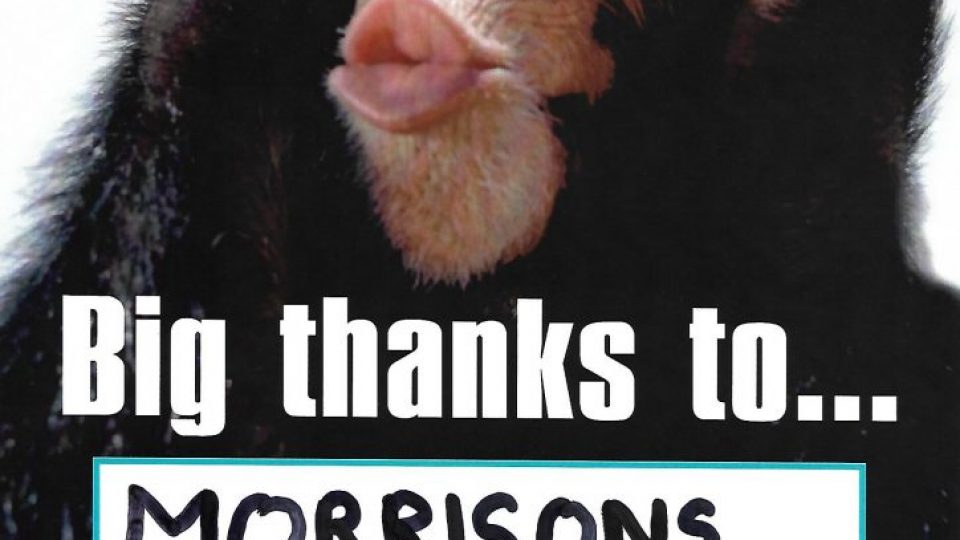 Thanks_Morrisons_Dec18